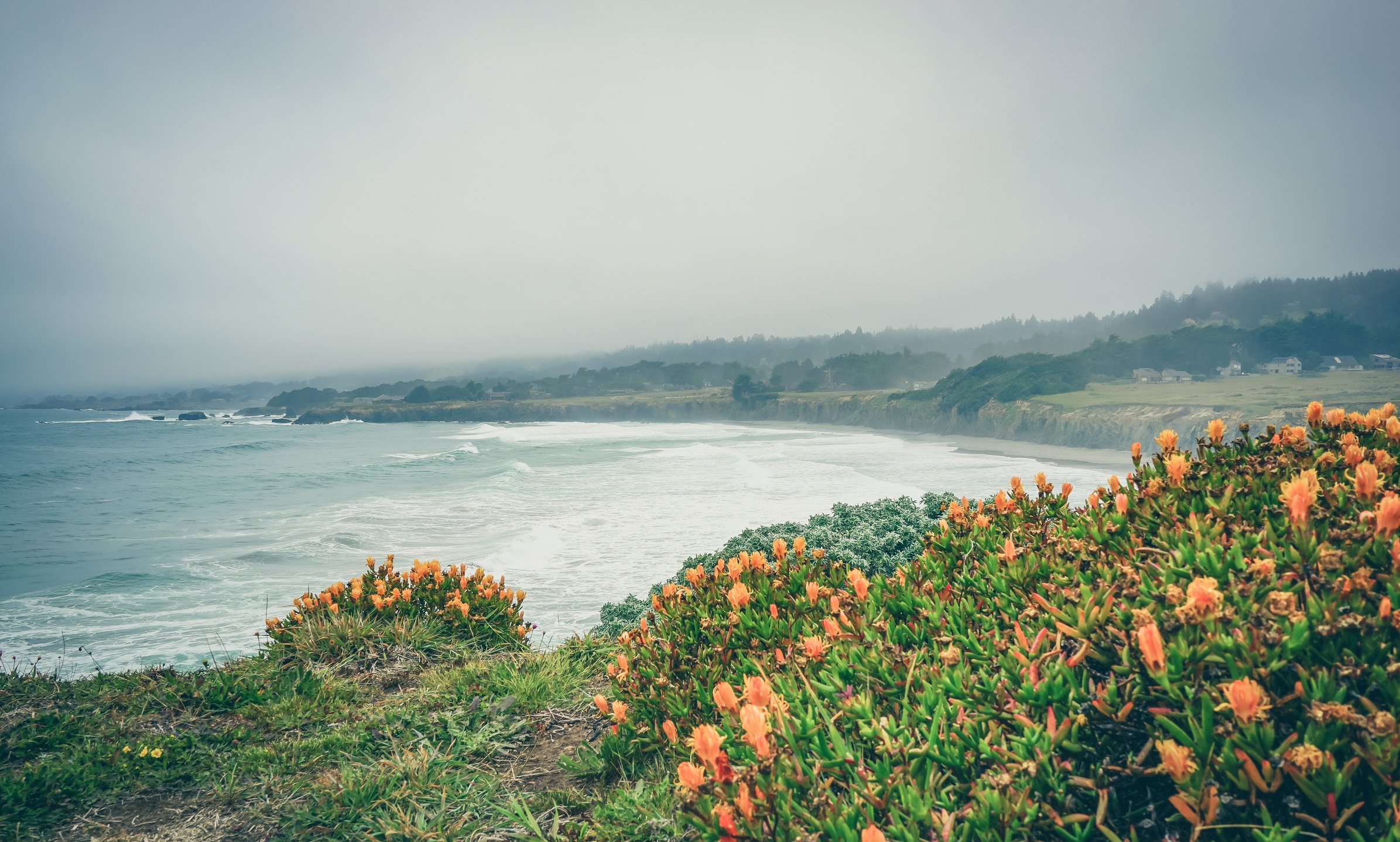 Northern California Beach